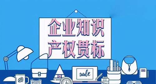 广东中加检测与颐卓咨询共启知识产权贯标认证新篇章